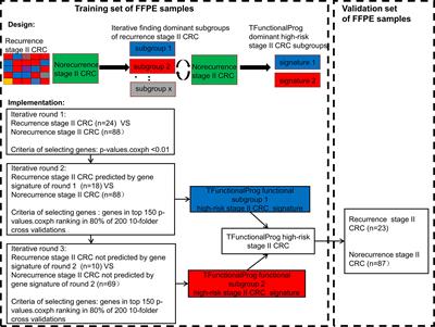 Dissected subgroups predict the risk of recurrence of stage II colorectal cancer and select rational treatment